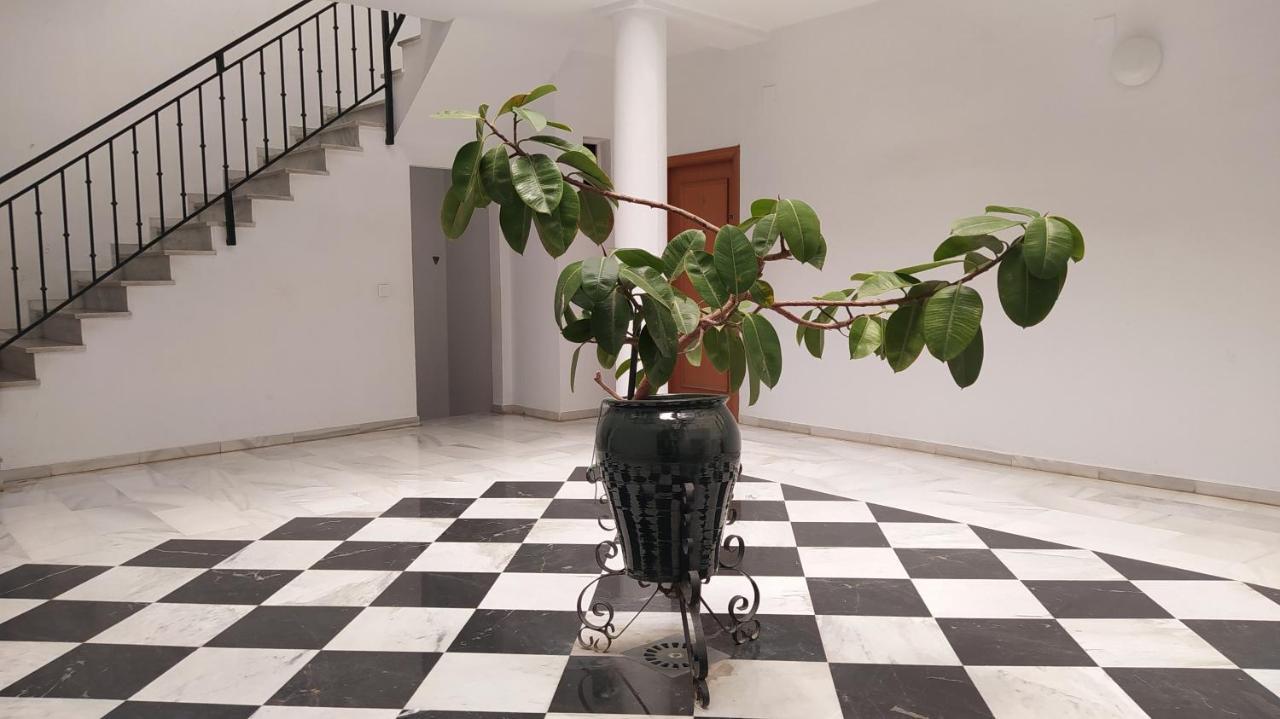 Sherryflat Palmeras Jerez de la Frontera Ngoại thất bức ảnh